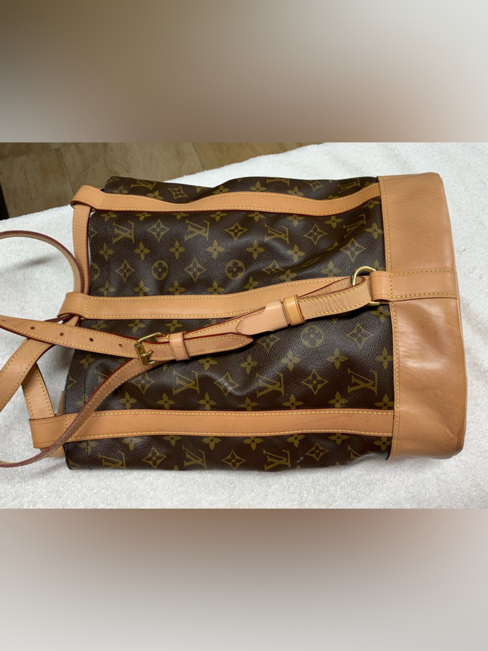 Louis Vuitton Monogram Randonnee PM Backpack - Picture 5 of 16